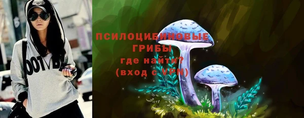 ECSTASY Губаха