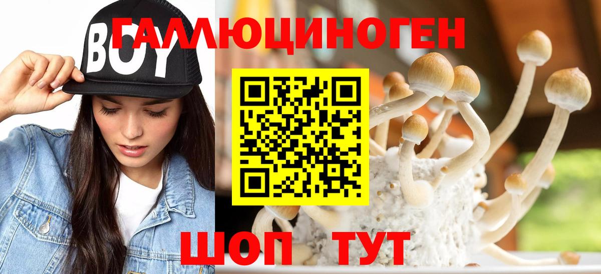 Галлюциногенные грибы Cubensis  Вход с VPN  Алатырь 