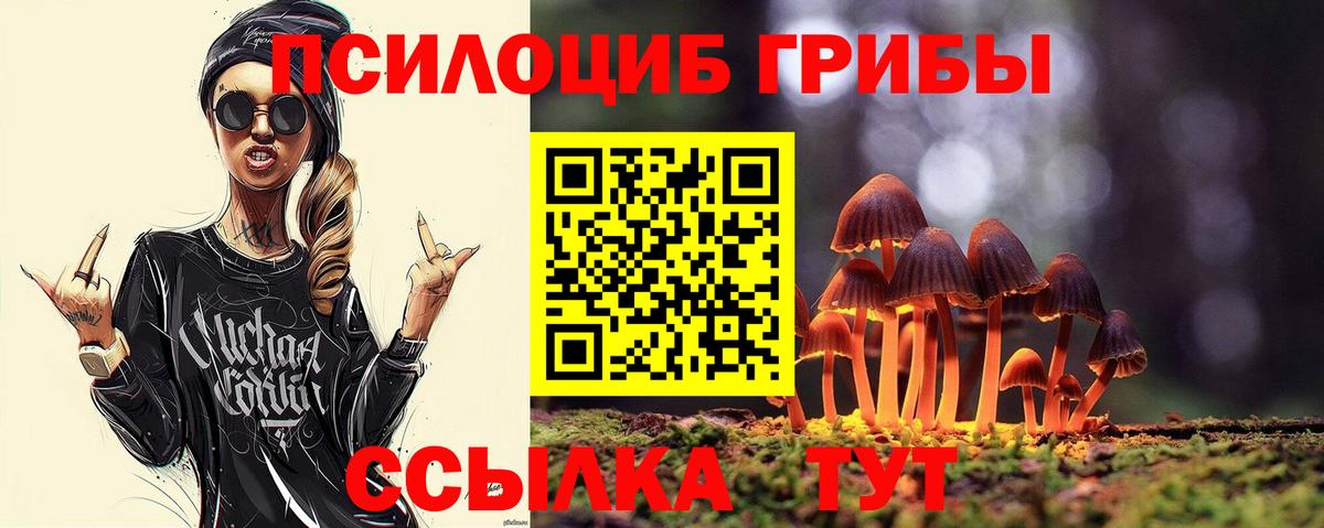Псилоцибиновые грибы Psilocybe Алатырь