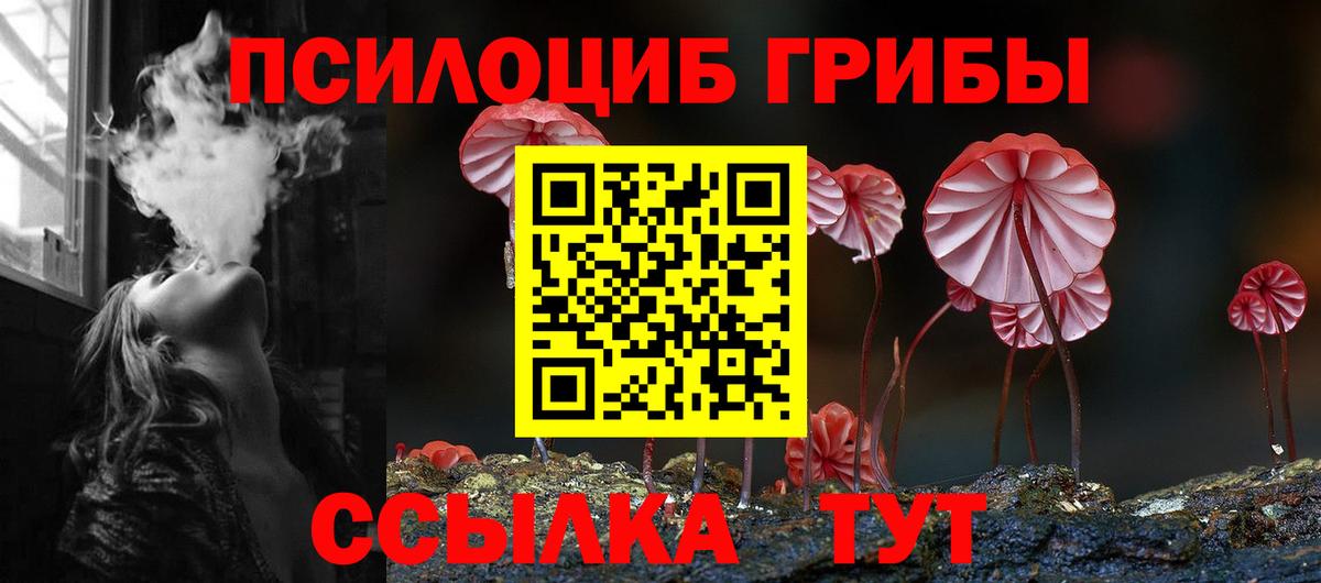Алатырь  где купить наркоту  Галлюциногенные грибы мухоморы  Вход с VPN  Галлюциногенные грибы мицелий 